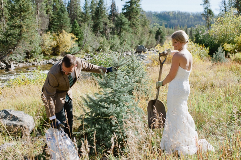 Tree planting at wedding ceremony