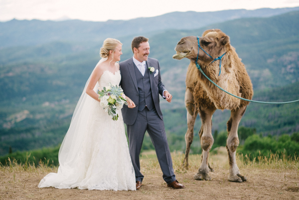 Camel with bride and groom at wedding