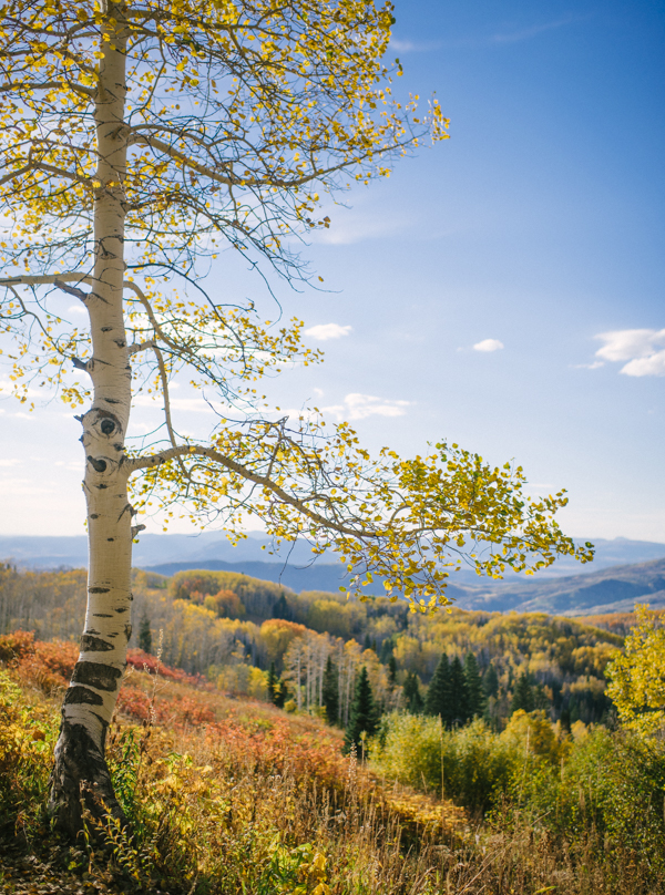 Buffalo Pass in Steamboat Springs, Colorado