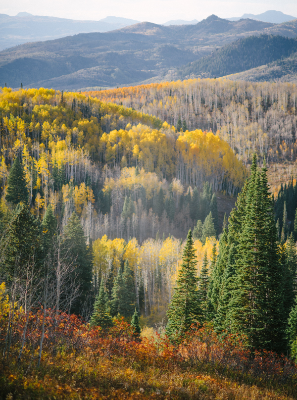 Buffalo Pass in steamboat Springs, Colorado