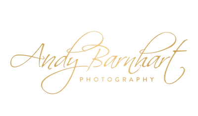 Andy Barnhart Wedding Photography logo